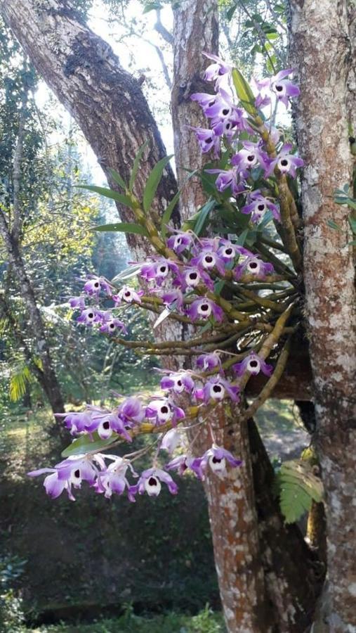Chacara Da Promessa De Deus Villa Icatuacu ภายนอก รูปภาพ